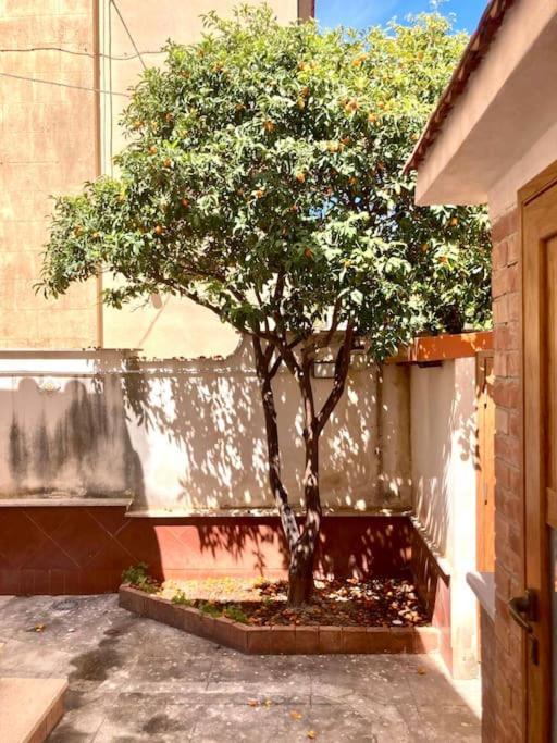 Villa Orlando Mondello Palermo Buitenkant foto